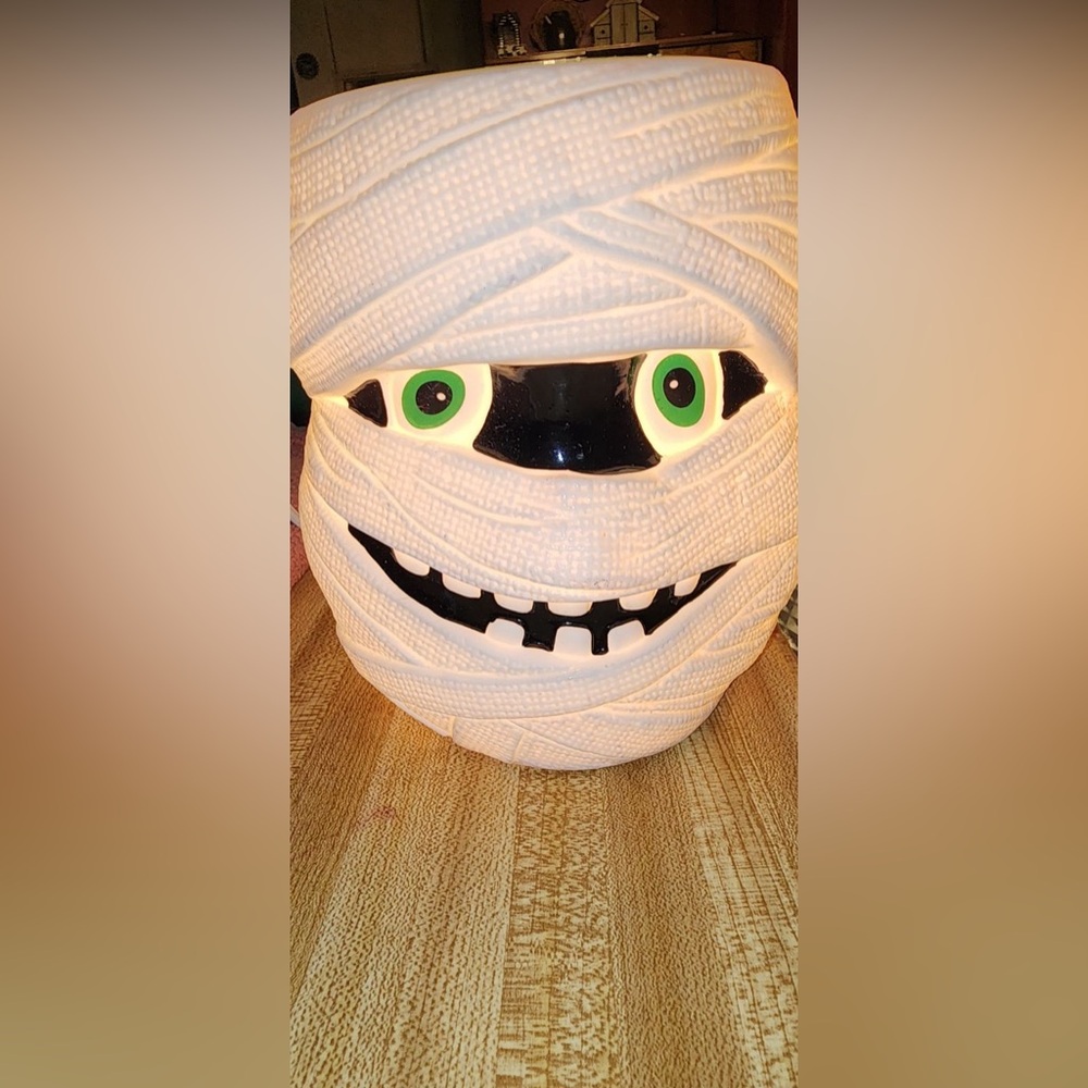 Scentsy Underwraps Full size wax warmer